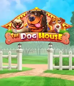 Experience Pragmatic Play's The Dog House Slot, offering a delightful journey into the world of playful pups. Enjoy features including sticky wilds, perfect for delivering joyful moments. Ideal for pet lovers a lighthearted atmosphere and the opportunity to win big.