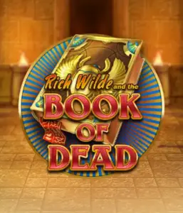 Dive into the thrilling world of Book of Dead Slot by Play'n GO, featuring vivid graphics of Rich Wilde's journey through ancient Egyptian tombs and artifacts. Uncover lost riches with engaging mechanics like free spins, expanding symbols, and a gamble option. Ideal for adventure enthusiasts with a desire for unearthing secrets.